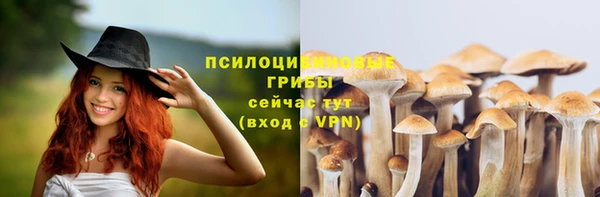 спиды Балахна