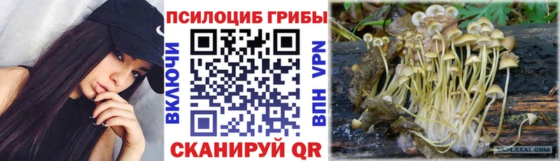 где найти   Красноуральск  Псилоцибиновые грибы MAGIC MUSHROOMS 